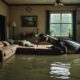 crocodile swims during flood