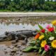 crocodile attack kills child