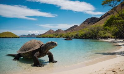 komodo national park unesco heritage