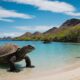 komodo national park unesco heritage